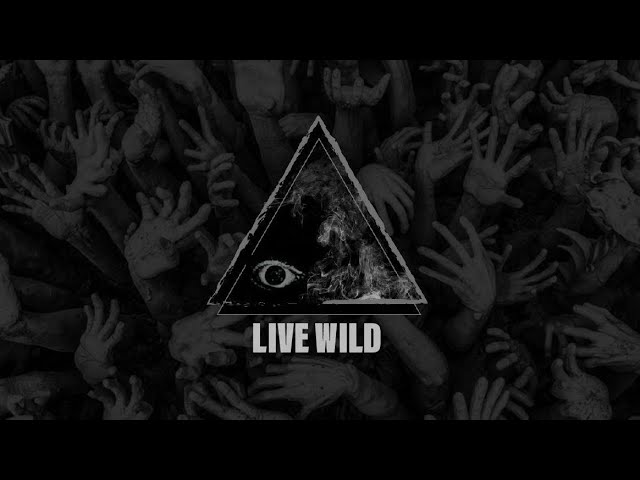 Sleduj NAYL AUTHOR - LIVE WILD ( Official Lyric Video ) na YouTube