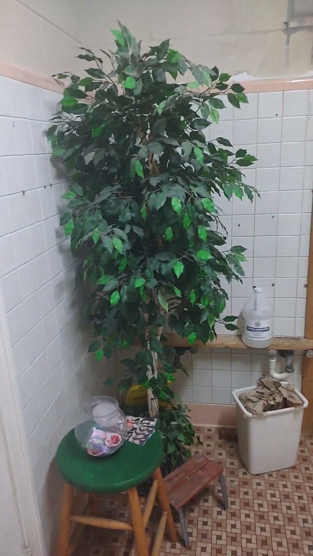Weird Bathroom Has Odd Decor And Tandem Poop Stations || ViralHog