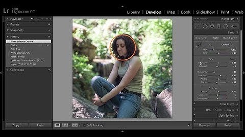 Using the Lightroom Radial Tool for Portraits