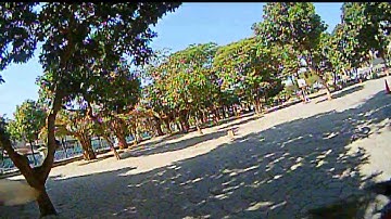 Happymodel diamond vtx test