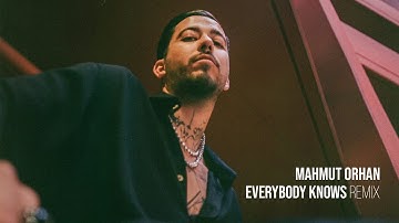 Thumbnail of Sigrid - Everybody Knows (Mahmut Orhan Remix)