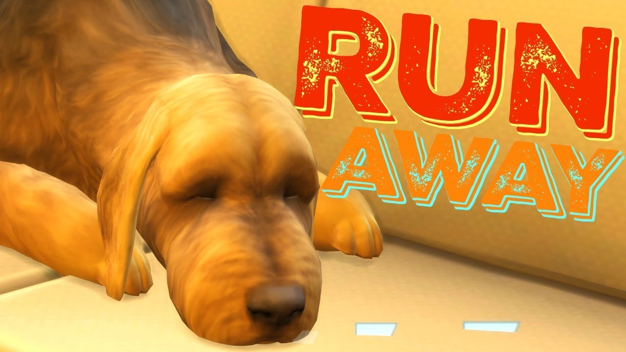 sims 2 super collection homeless dog make it go away