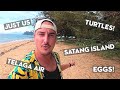 SATANG ISLAND | Turtles, Snorkelling & Overnight at Sarawak Island