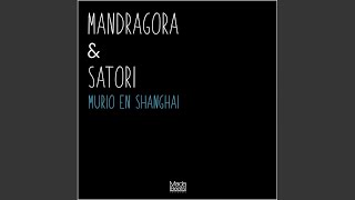 Murio en Shangai - Mandragora