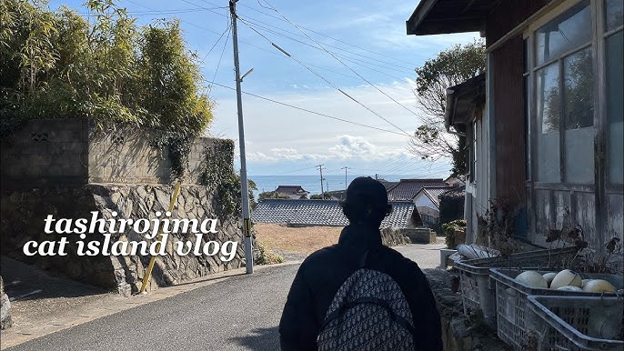 Aoshima - GaijinPot Travel