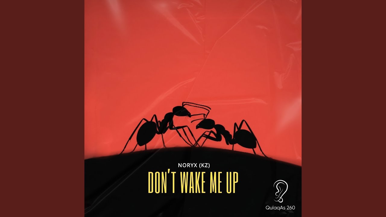 Don’t Wake Me Up (Extended Mix)