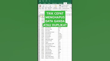 Menghapus Duplikat Data atau Data Ganda di Excel dengan Cepat