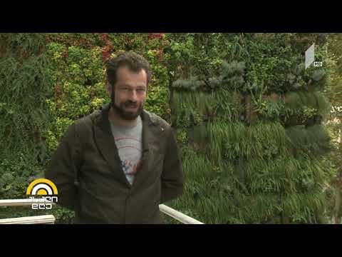 #ახალიდღე „ვერტიკალური გამწვანება“ - ბუნების დაბრუნება ქალაქში