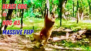Pt 3: SAME BEAST COC vs HOG #3: "EXTREME ACROBATICS" #elitearchery #ravincrossbows