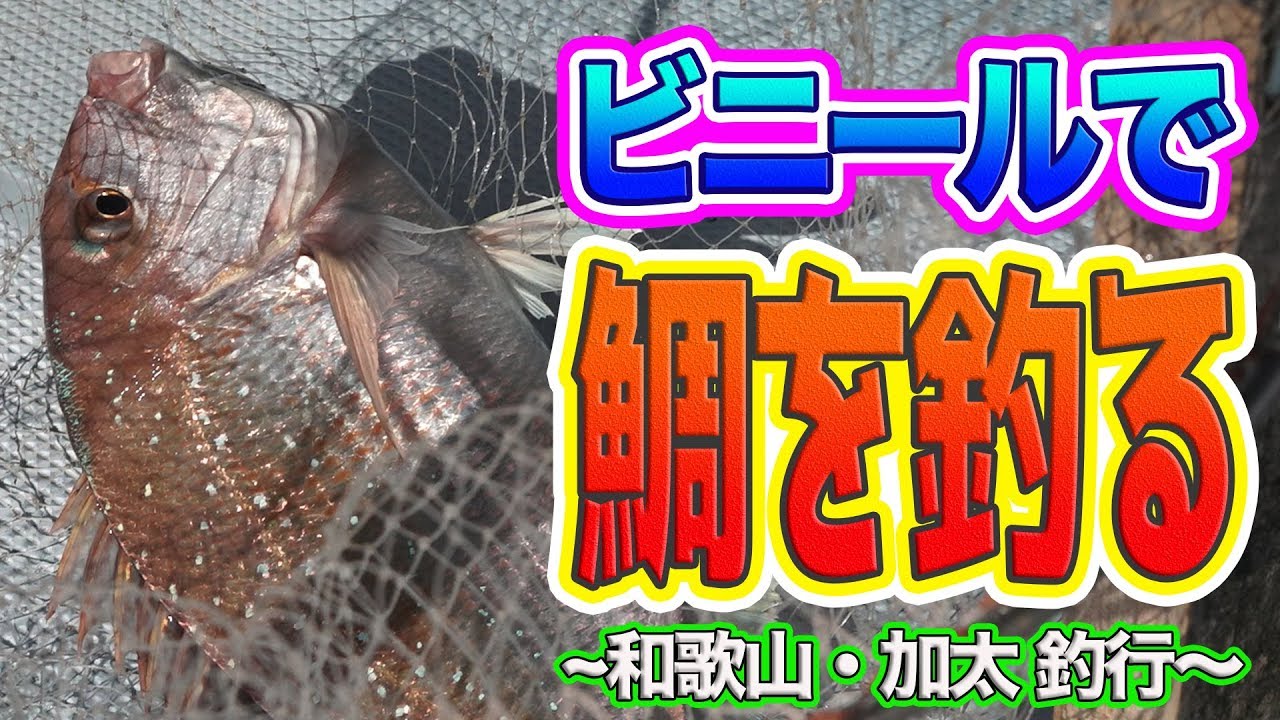 船釣り ビニールで鯛を釣る 和歌山 加太釣行 中編 Youtube