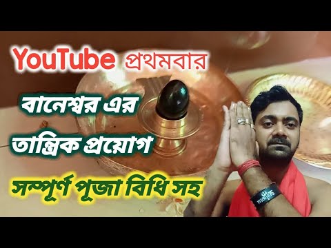 ভিডিও: কীভাবে চুল স্টাইল করবেন (ছবি সহ)