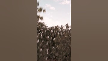 natural logo|| free download in my channel|| #aftereffects #free #download #intro #cinematic #slide