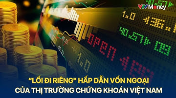 “Lối đi riêng” thu hút dòng vốn ngoại vào Việt Nam  | VTVMoney