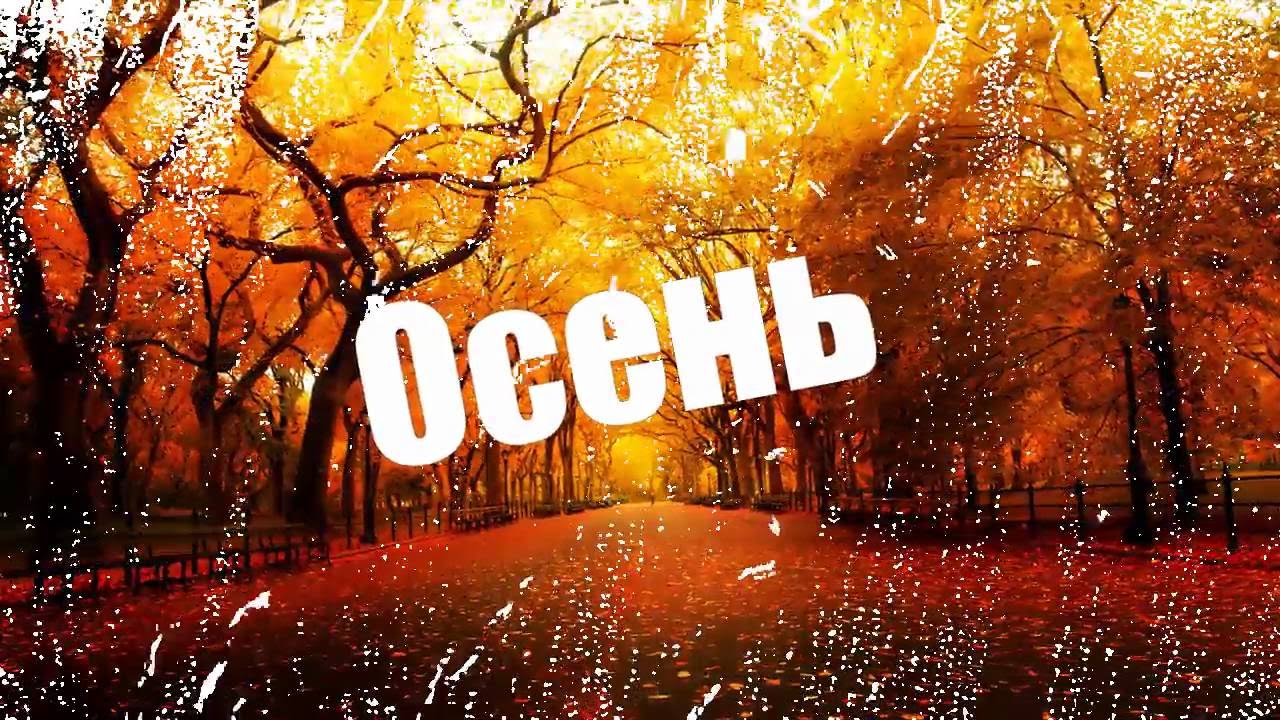 любовь осенью фото