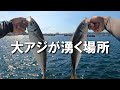 ページ88　初心者からファミリーまでのんびり楽しめる【串本カセ釣り】