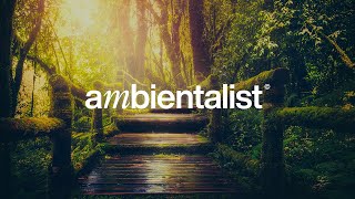 The Ambientalist - Ethernal Dream