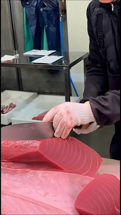 Download lagu Perfect Otoro & Akami Cutting Skills 🔪🐟✨ Must Watch#TunaCutting #Otoro #Akami #viralvideo