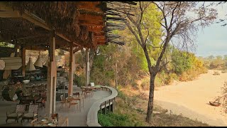 A Safari for All Seasons | Discover Thornybush