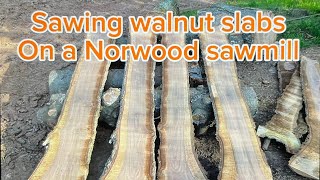 Logging on the Cub782 and Sawing Walnut on the Norwood Lumbermate 2000 #cubcadet #norwoodsawmill