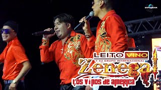 Leito Vino y su grupo Zenegal 2024 - 18 Años de Erick Villan Arica Chile