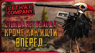 видео: 👁️ РАЗБОР ОБНОВЛЕНИЯ v70 Lethal Company | СЕКРЕТНАЯ ЗАПИСЬ СИГУРДА КОТОРОЙ БОЛЬШЕ НЕТ картинка: 👁️ РАЗБОР ОБНОВЛЕНИЯ v70 Lethal Company | СЕКРЕТНАЯ ЗАПИСЬ СИГУРДА КОТОРОЙ БОЛЬШЕ НЕТ