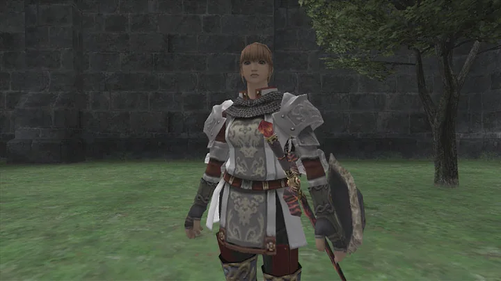 FFXI  ZM 2 Welcome t'Norg Walkthrough