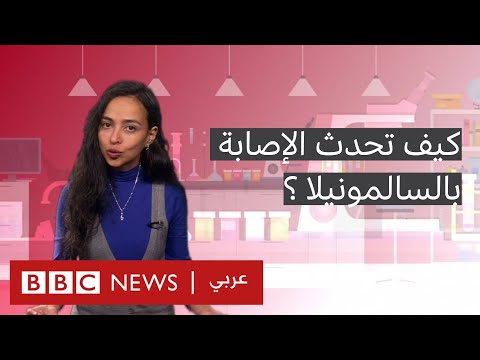 هل عانيتم يوما من الغثيان وارتفاع درجة الحرارة هذه قد تكون أعراض السالمونيلا