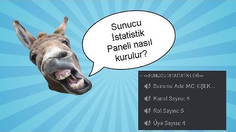ST-EŞEK Sunucu İstatistik Paneli Nasıl Kullanılır?