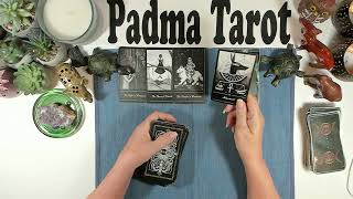 VIRGO♍️BE CONFIDENT, THIS IS YOURS!JUNE 30TH-JULY 6TH CAREER & FINANCES 💰Weekly Tarot Reading 🔮💫