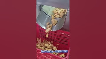 Máy Rửa Nông Sản TECH GARDEN (Rửa Gừng), LH: 0935911775 (ThS Trần Trinh)