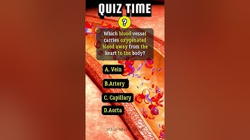 10 Trivia Questions on Human Anatomy part#6 #quiz