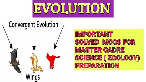 Evolution Important Solved Mcqs For Master Cadre Science ( Zoology) Preparation