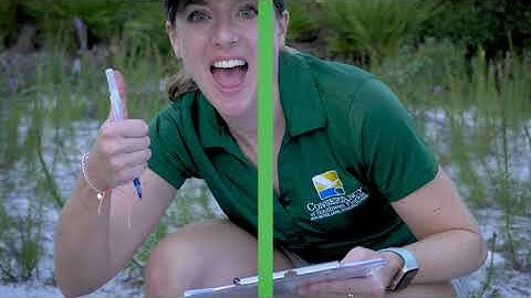 Observe Your World - Episode 2: Introduction to Sampling