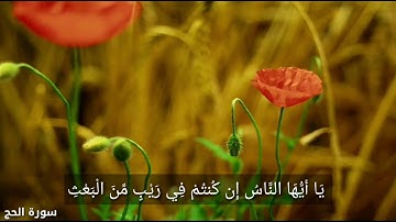 يا أيها الناس إن كنتم في ريب من البعث - سورة الحج الآية ( 5 ) - الشيخ ياسر الدوسري