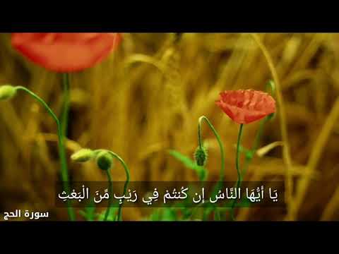 يا أيها الناس إن كنتم في ريب من البعث سورة الحج الآية  الشيخ ياسر الدوسري
