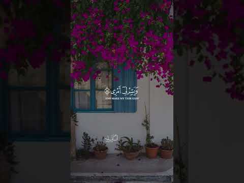 قال رب اشرح لی ویسرلی امری حالات قران المنشاوي 