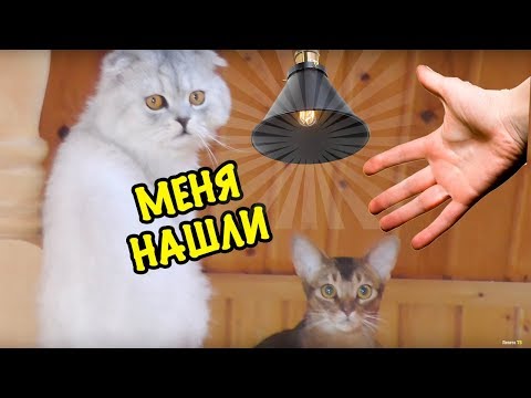 НОЧНЫЕ ПРЯТКИ В