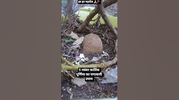 5 नवंबर कार्तिक पूर्णिमा का चमत्कारी उपाय #pandit_pradeep_ji_mishra #pradeepmishra #upay #shorts