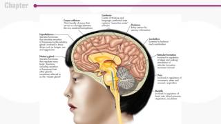 Chapter 2 PSYC 1010 1200 2015