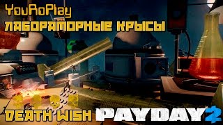 Payday 2. Как быстро пройти лабораторные Крысы.Жажда смерти.Death Wish. Payday 2. Как быстро пройти лабораторные Крысы.Жажда смерти.Death Wish.