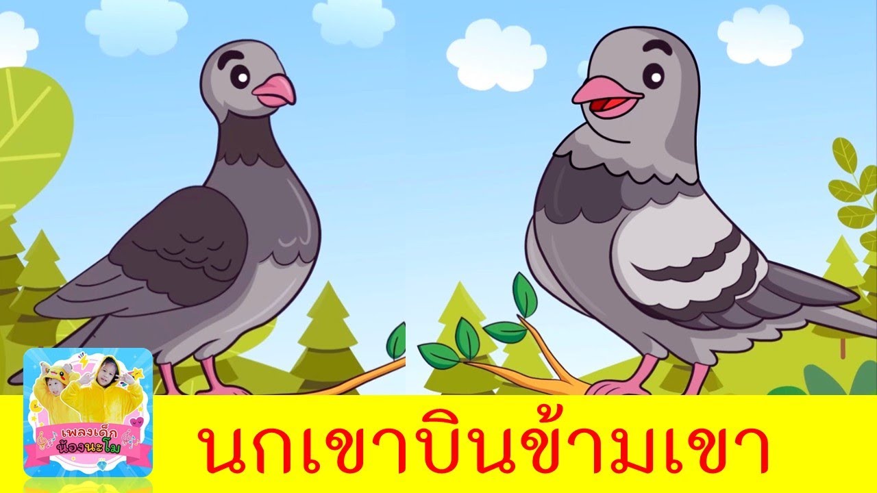 เพลงนกเขา | เรียนรู้เรื่องสัตว์ปีก | นกเขาบินข้ามเขา ไม่ใช่นกเราเฝ้าแต่แลมอง | เพลงเด็ก