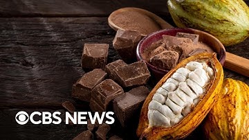 Candy companies subbing out real chocolate as climate change raises cocoa prices, report says