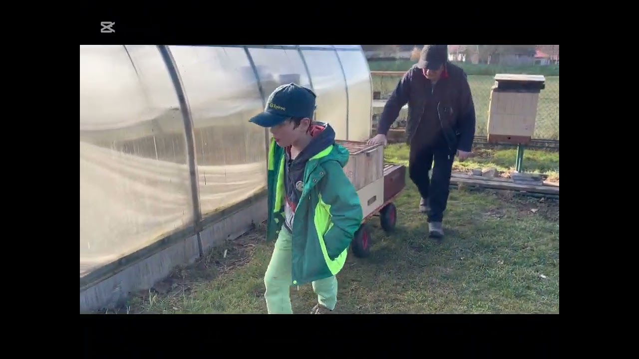 Что я готовлю чешским внукам,и травяные чаи.