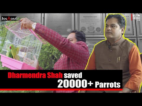 Parrots Saviour| Mission Pankh Bhopal| Madhya Pradesh ke Hero | JoshHosh (2021)