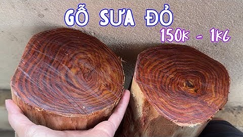 Giao Lưu 2 Gốc Gỗ Sưa Vân Tím Đen Rõ Nét - Đục Tượng Vân Chằng Chịt - Gỗ Sưa Gần 30 Năm Tuổi