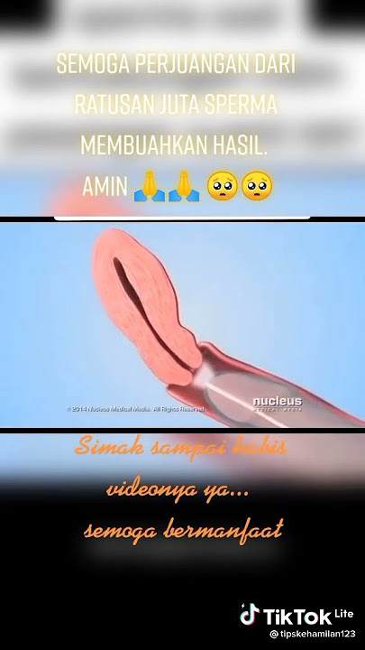 Proses Sperma Masuk Kedalam Vagina