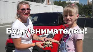 ПешеходВоДвореГлавный  Госавтоинспекция Челябинская область