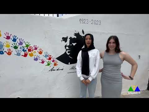Artenativo 30 de mayo 2024