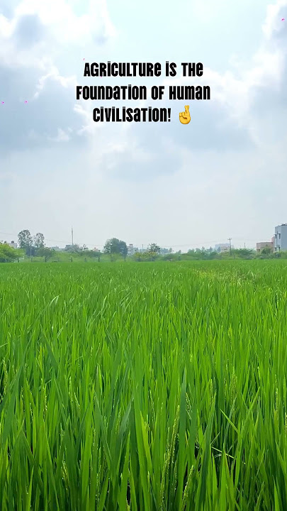 Vidamuyarchi! #india #agriculture #world #hellomrmani #truelegends