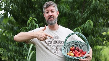 They Say Growing Fruit Trees From Seed is a "Bad Idea." They